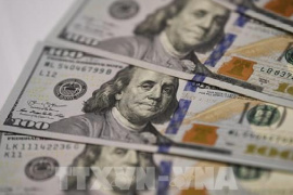 Niềm tin Fed hạ lãi suất gia tăng sức ép lên đồng USD