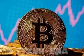 Sự sụp đổ của các "kho bạc tài sản kỹ thuật số"