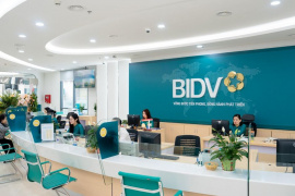 BIDV lãi hơn 29.000 tỷ đồng sau 11 tháng