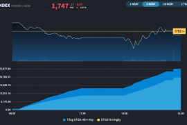 Thị trường đứt chuỗi 9 phiên tăng điểm