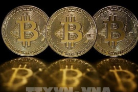 Bitcoin tăng vượt ngưỡng 116.000 USD/BTC