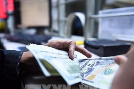 Đồng USD tăng giá, dứt chuỗi hai tuần giảm liên tiếp