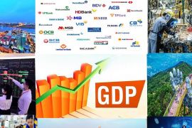 Năm 2025, tăng trưởng kinh tế Việt Nam có thể đạt 7,8-8,1%