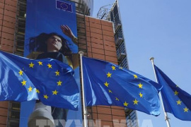 EU đứng trước lựa chọn "đắng" trong thỏa thuận thương mại với Mỹ
