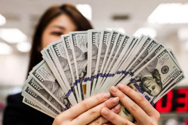 Tỷ giá USD/VND tạm ngưng đà tăng