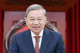 Tổng Bí thư Tô Lâm và Tổng thống Mỹ Donald Trump điện đàm: Thuế đối ứng với nhiều mặt hàng Việt Nam sẽ được cắt giảm đáng kể