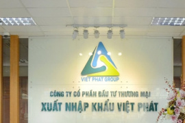 Việt Pháp (VPG) bị xử phạt 235 triệu đồng vì công bố thông tin sai lệch và chậm trễ