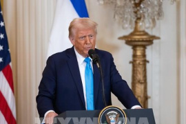 Mỹ sẽ không phê duyệt các dự án điện gió, điện Mặt Trời