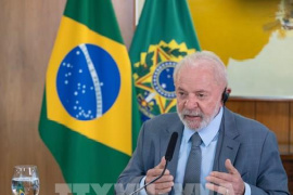 Brazil kiện Mỹ lên WTO vì bị áp thuế cao