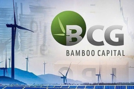 Cổ phiếu “họ” Bamboo Capital bất ngờ được nhà đầu tư “gom” đột biến, đồng loạt tăng “bốc đầu”