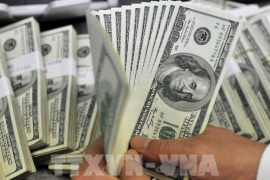 Đồng USD chịu áp lực lớn trước những cơn gió ngược