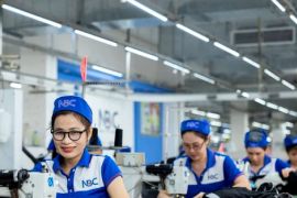 Năm 2025 Việt Nam có hơn 52 triệu người có việc làm