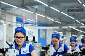 Năm 2025 Việt Nam có hơn 52 triệu người có việc làm