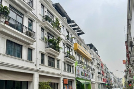 Tháng 12/2025: Bất động sản phục hồi, đầu cơ tiếp tục bị sàng lọc