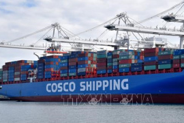 Cảng biển then chốt của Mỹ lập kỷ lục năm bận rộn nhất trong lịch sử