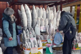 Không phải dầu thô hay khí đốt, một mặt hàng của Nga được người châu Âu cực mê: Chi hơn 700 triệu euro mua hàng, giá cao nhất trong nhiều năm