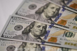 Nhà đầu tư tìm nơi trú ẩn trước rủi ro thuế quan Mỹ - EU