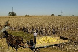 Trung Quốc mua gần 12 triệu tấn đậu tương của Mỹ