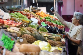 Anh: Lạm phát tăng có thể có thể cản trở quyết định hạ lãi suất của BoE