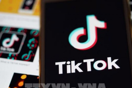 TikTok lập liên doanh do Mỹ nắm quyền chi phối
