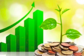 Lịch chốt quyền cổ tức tuần 26-30/1: Cổ tức tiền mặt cao nhất 20%