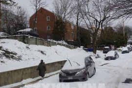 Bão tuyết gây thiệt hại hàng tỷ USD tại Mỹ