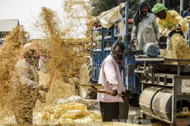 Giá gạo châu Á tăng, ngũ cốc Mỹ và cà phê diễn biến trái chiều