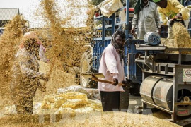 Ấn Độ vượt Trung Quốc trở thành nhà sản xuất gạo lớn nhất thế giới