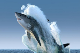 Dòng tiền lớn rục rịch trở lại, chuyên gia hé lộ nhóm cổ phiếu hưởng lợi từ “sóng Tết”