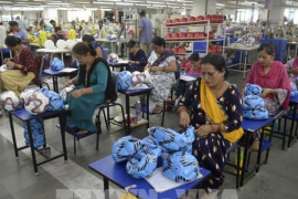 Ngân hàng Goldman Sachs dự báo Ấn Độ tiếp tục duy trì đà tăng trưởng