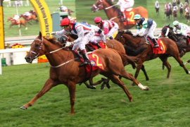 Thị phần môi giới của SSI trên HoSE lên cao nhất 22 quý