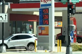 Giá dầu diesel tại Mỹ tiếp tục neo cao