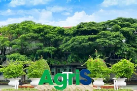 Mẹ của Chủ tịch AgriS và doanh nghiệp liên quan muốn bán gần 90 triệu cổ phiếu SBT