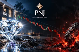 Câu chuyện PNJ: Từ “viên kim cương” đến “hòn than nóng”
