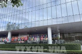 IMF cảnh báo nguy cơ "kìm hãm tài chính" mới