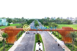 TTC Land (SCR) muốn thâu tóm 51% vốn chủ dự án Cù lao Tân Vạn, giá khởi điểm hơn 1.000 tỷ đồng