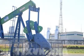 Châu Âu đã chi 209 tỷ USD mua năng lượng của Nga kể từ năm 2022