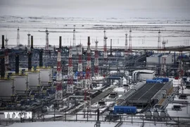 Giá dầu tăng giảm đan xen trước những tín hiệu trái chiều về nguồn cung
