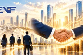 Nhà đầu tư tham gia mua cổ phiếu EVF phát hành riêng lẻ là ai?