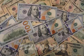 Châu Phi huy động gần 100 triệu USD phát triển các dự án tín chỉ carbon