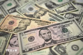 Đồng USD đứt mạch tăng trước áp lực kép từ cổ phiếu AI và Fed
