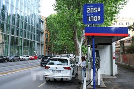 Mỹ thúc giục châu Âu giải phóng dự trữ diesel để hạ nhiệt giá nhiên liệu