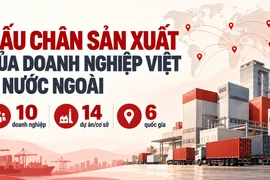 VinFast, THACO, Vinamilk và loạt ông lớn Việt mang hàng tỷ USD ra nước ngoài xây nhà máy, phát triển vùng nguyên liệu