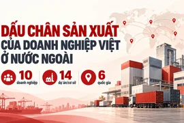 VinFast, THACO, Vinamilk và loạt ông lớn Việt mang hàng tỷ USD ra nước ngoài xây nhà máy, phát triển vùng nguyên liệu