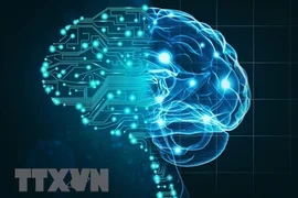 Mỹ đổ hàng nghìn tỷ USD vào trung tâm dữ liệu AI, nhu cầu điện, nước tăng mạnh