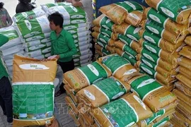 Campuchia xuất khẩu hơn 200.000 tấn gạo sang Philippines