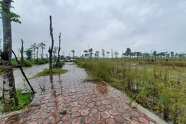 Đề xuất áp thuế 0,2% đối với đất bỏ hoang