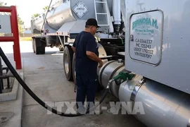 Giá dầu diesel tăng kỷ lục đe dọa ngành vận tải xe tải Mỹ 