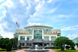 Một nhân sự cấp cao của Tập đoàn Hoá chất Đức Giang làm Chủ tịch HĐQT Ắc Quy Tia Sáng