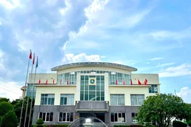 Một nhân sự cấp cao của Tập đoàn Hoá chất Đức Giang làm Chủ tịch HĐQT Ắc Quy Tia Sáng